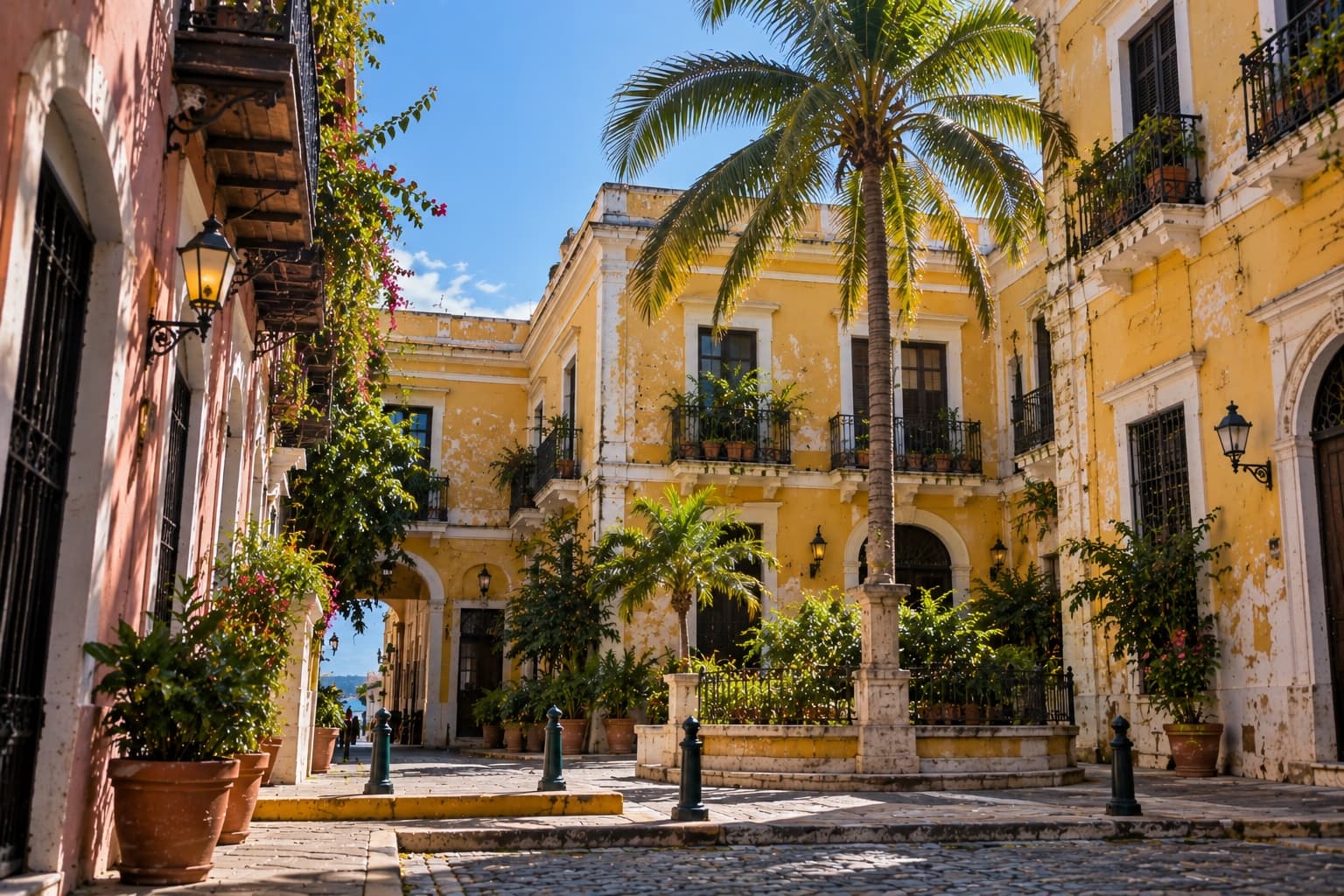 Arquitectura colonial amarilla alrededor de una palmera central